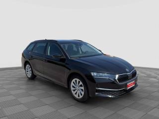 SKODA Octavia usata 6