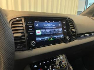 SKODA Karoq usata, con Cronologia tagliandi