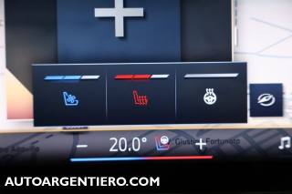 BMW X6 usata, con Controllo vocale