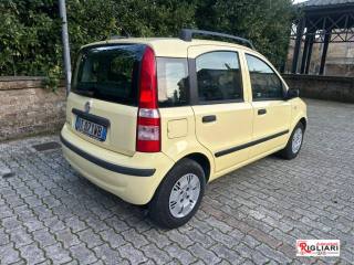 FIAT Panda usata 2