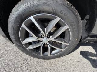 LAND ROVER Range Rover Evoque usata, con Cerchi in lega