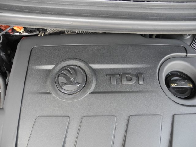 SKODA Fabia usata 61