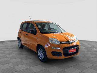 FIAT Panda usata 6