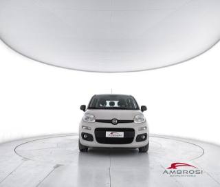 FIAT Panda usata 4