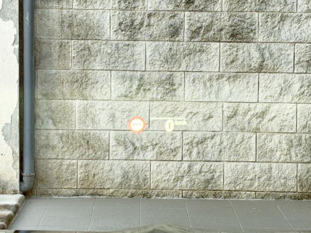 BMW X4 usata, con Park Distance Control