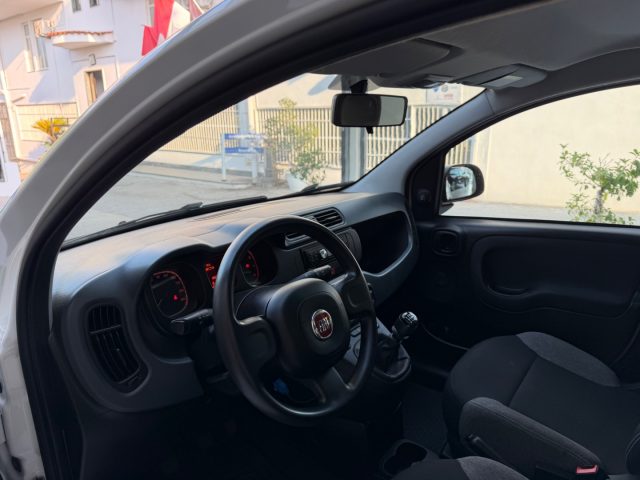 FIAT Panda usata, con Sistema lavafari