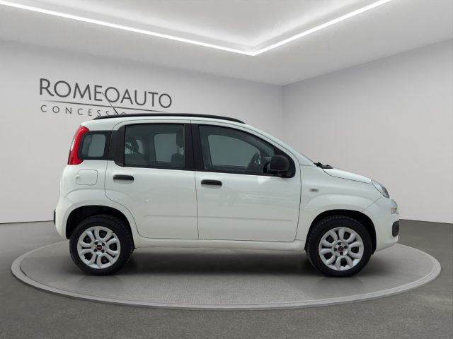 FIAT Panda usata 6