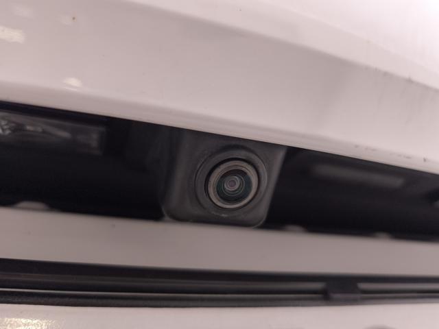 OPEL Grandland usata, con Bracciolo