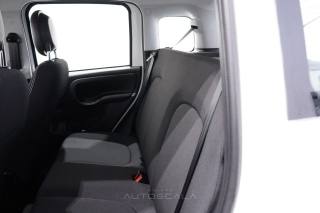 FIAT New Panda usata 18