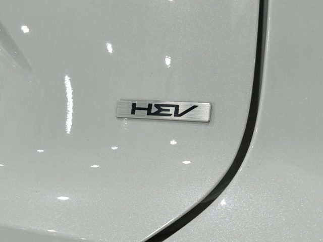 KIA Niro usata, con Riconoscimento dei segnali stradali