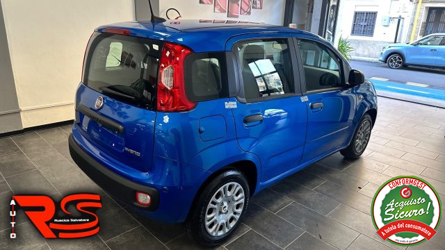 FIAT Panda usata, con Antifurto