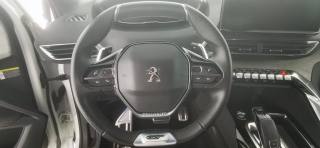 PEUGEOT 3008 usata, con Cronologia tagliandi