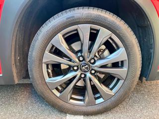 LEXUS UX 250h usata 22