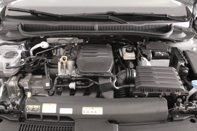 VOLKSWAGEN Polo usata, con ESP