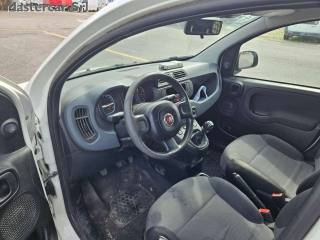 FIAT Panda usata 11