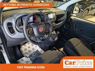 FIAT Pandina usata, con ESP