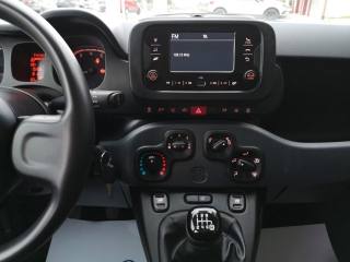 FIAT Panda usata 18