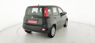 FIAT Panda usata 44