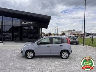 FIAT Panda usata, con Airbag Passeggero
