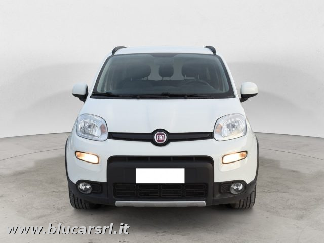 FIAT Panda usata 2