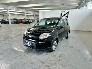 FIAT Panda usata, con Airbag Passeggero