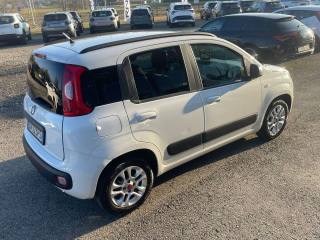 FIAT Panda usata 7