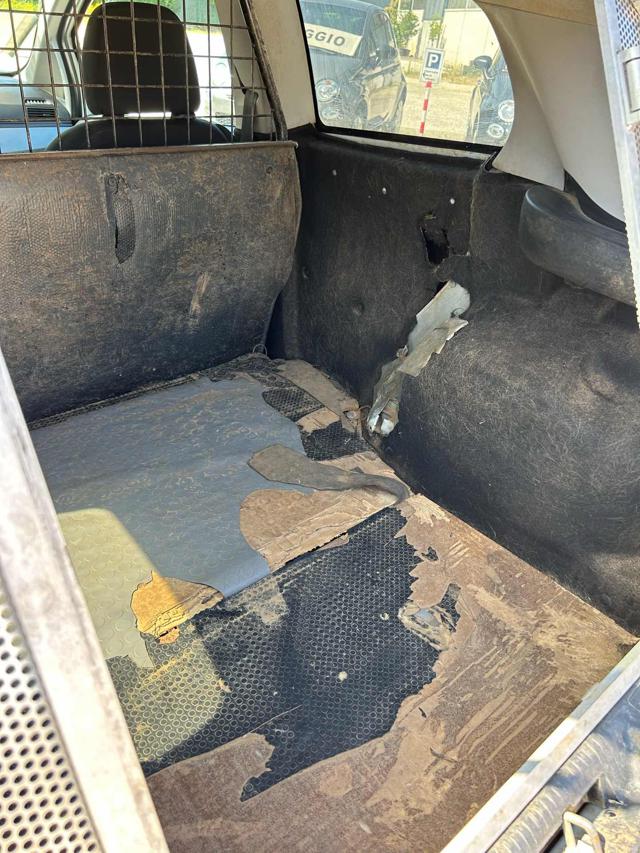 FIAT Grande Punto usata 11