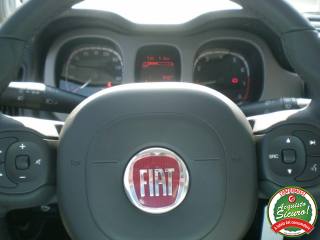 FIAT Panda Cross usata, con Airbag testa