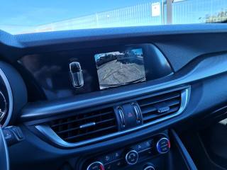 ALFA ROMEO Stelvio usata 9