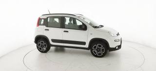 FIAT Panda usata 24