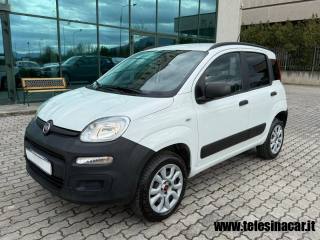 FIAT Panda usata, con Airbag