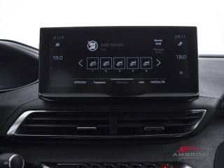 PEUGEOT 3008 usata 13