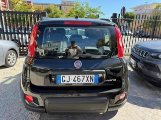 FIAT Panda usata, con Controllo trazione