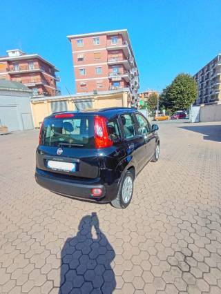 FIAT Panda usata 6