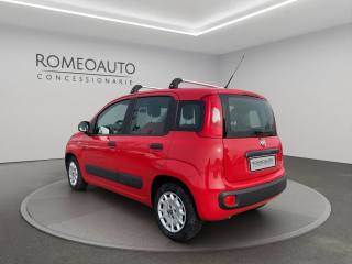 FIAT Panda usata, con Antifurto