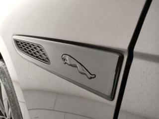 JAGUAR F-Pace usata, con Controllo trazione