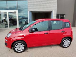 FIAT Panda usata, con Climatizzatore