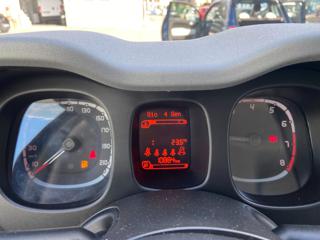 FIAT Panda Cross usata, con Controllo trazione