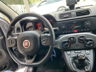 FIAT Panda usata, con Lettore CD