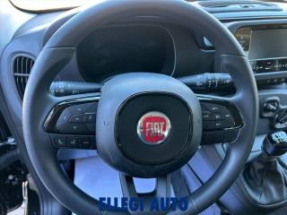 FIAT Panda usata, con Chiusura centralizzata telecomandata