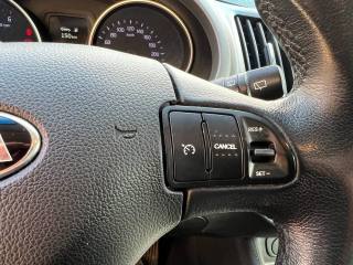 KIA Sportage usata 13