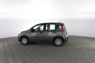 FIAT Panda usata 5