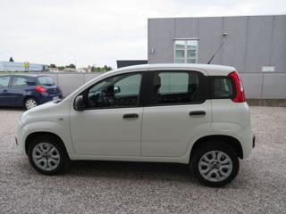 FIAT Panda usata, con Airbag