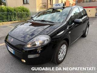FIAT Punto 1.4 8V 5 porte GPL Lounge E6 ***OK NEOPATENTATI***