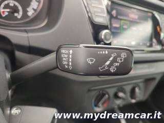 SKODA Fabia usata 24