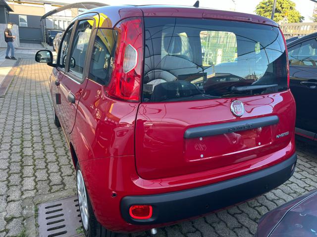 FIAT Panda usata 14