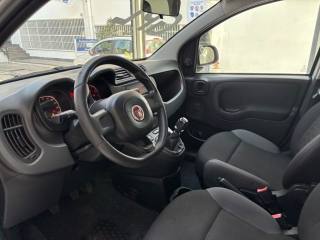 FIAT Panda usata 17