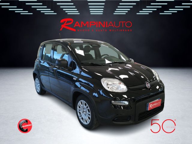 FIAT Panda usata 4