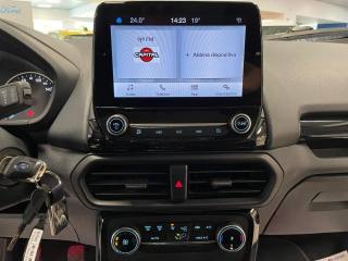 FORD EcoSport usata, con Volante in pelle