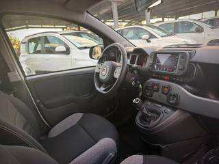 FIAT Panda usata 26